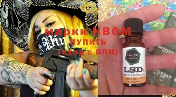 гашик Кулебаки
