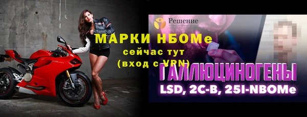 гашик Кулебаки