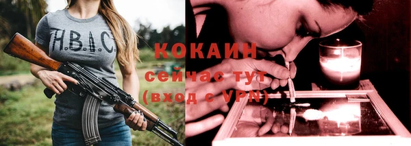 гашик Кулебаки